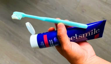 Oral Care Pet Toothpaste