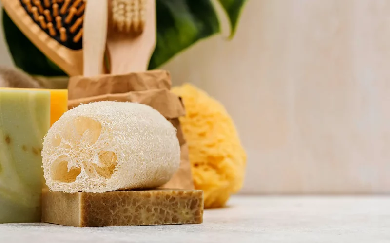 Loofah Sponge