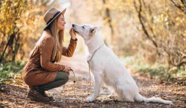 Skincare for Dog